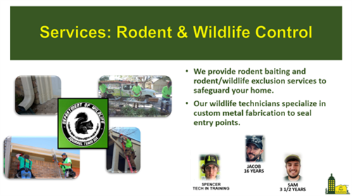 Wildlife & Rodent Removal Specialists