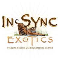 In-Sync Exotics Easter Egg Hunt