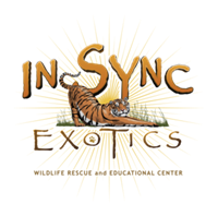 In-Sync Exotics Mothers Day Pancake Breakfast