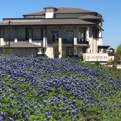 Gallery Image 481659009_963860815951738_476543835008965439_n.jpg