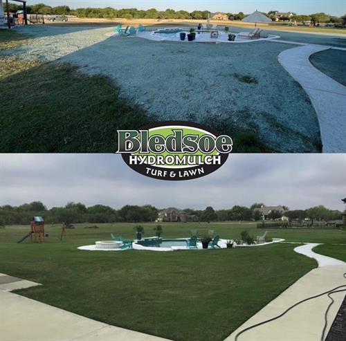 Pool installation where we rejuvenated the Bermuda grass and made it all cohesive again ??