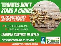 Home Run Pest & Termite Control Warns Wylie Homeowners About Rising Termite Activity