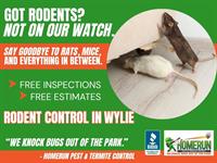 Home Run Pest & Termite Control Warns Wylie Residents of Fall Rodent Invasions