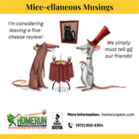 BREAKING NEWS, WYLIE, TEXAS: Rodents Have Officially Selected Your Neighborhood as Their Winter Airbnb Hotspot