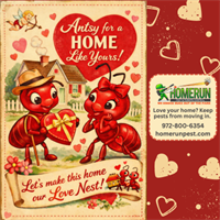 Love Your Home: If Pests Could Talk, Here’s What They’d Love About Wylie Homes