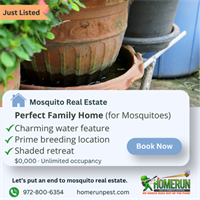 A Day in the Life of a Backyard Mosquito (Not as Cute as It Sounds)