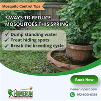 3 Smart Ways to Actually Reduce Mosquitoes This Spring in Wylie, Texas