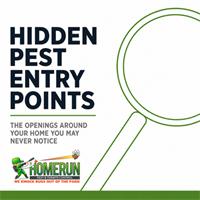 The Openings Around Your Home You Never Think About