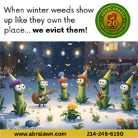 Your Lawn Is on Winter Break… Unfortunately, the Weeds Aren’t