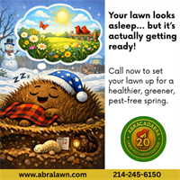 Your Lawn Looks Asleep… But It’s Actually Getting Ready