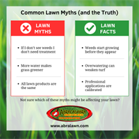 Spring Lawn Myths That Could Be Hurting Your Yard — Wylie, Texas Edition