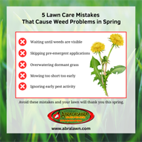 5 Lawn Care Mistakes Homeowners Make in March (And How to Avoid Them) — Wylie, Texas Edition