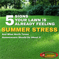 5 Signs Your Lawn Is Already Feeling Summer Stress in Wylie And What Wylie Homeowners Should Do About It
