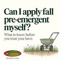 Can I apply fall pre-emergent myself?