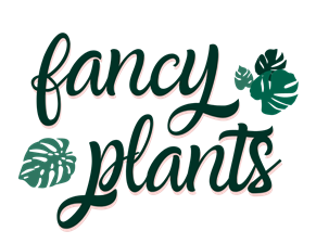 Fancy Plants