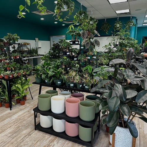 Gallery Image shop_pic.jpg