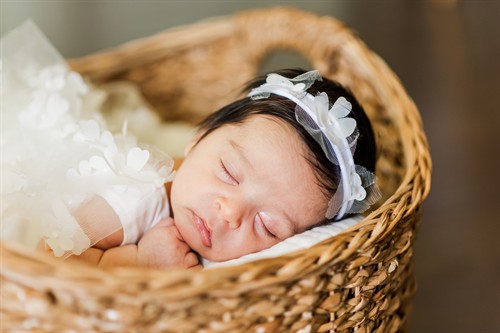 Gallery Image TAP_1679.jpg