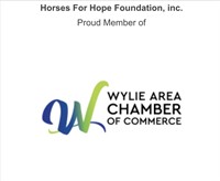 Horses For Hope Foundation, inc.