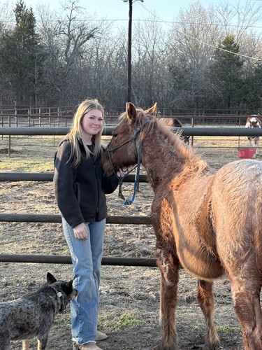 Carlee after she did some ground work with a yearling colt.