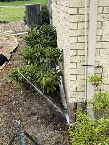 Here we are applying a treatment for termites!