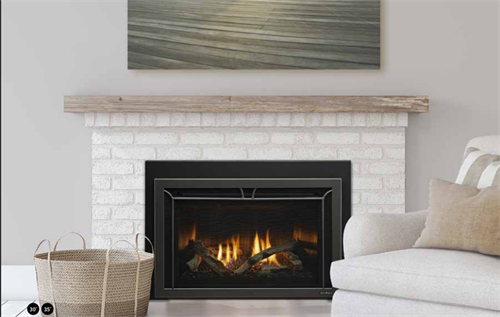 Cosmo Direct Vent Gas Insert