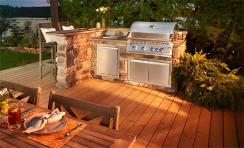 Napoleon 700 Series 32 Grill