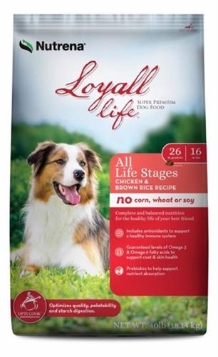 Loyal dog food and cat food.  We carry several brands for dogs and cats.