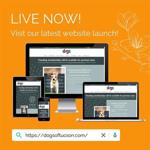 Website Design Launch
