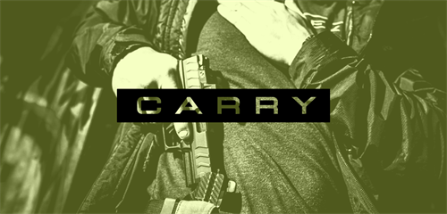 Gallery Image concealed-carry-cart-img.png