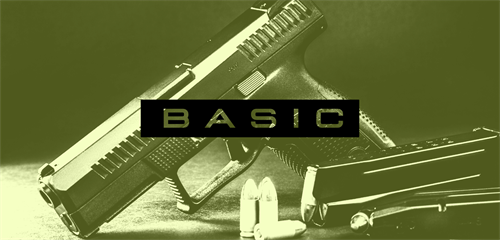 Gallery Image pistol-basics-cart-img(2).png