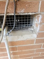 Holder's Pest and Wildlife Services