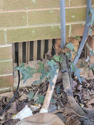 Foundation vents can be a source of wildlife entry.