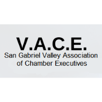 V.A.C.E Lunch and Learn Series