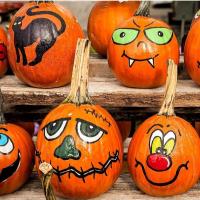 Oakdale Happy Hour: Pints & Pumpkin Painting