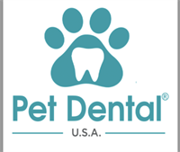 Meet Kerry Mead DVM of Pet Dental USA - Gilbert