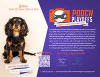Andria May Photography partners with Dogtopia Gilbert to Launch “Pooch Playoffs” Fundraiser Supporting Service Dogs and Autism Employment