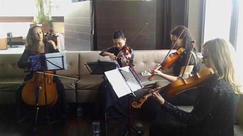 Traditional string quartet playing contemporary pop songs.