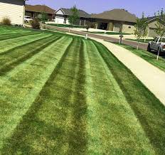 Gallery Image 1.jpeg