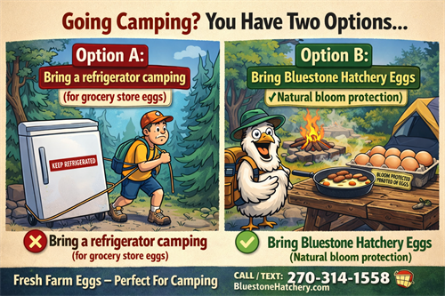 Our eggs do not need to be refrigerated!