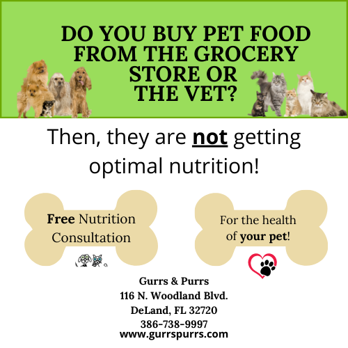 Do you buy your pet food at the grocery store or Vet?