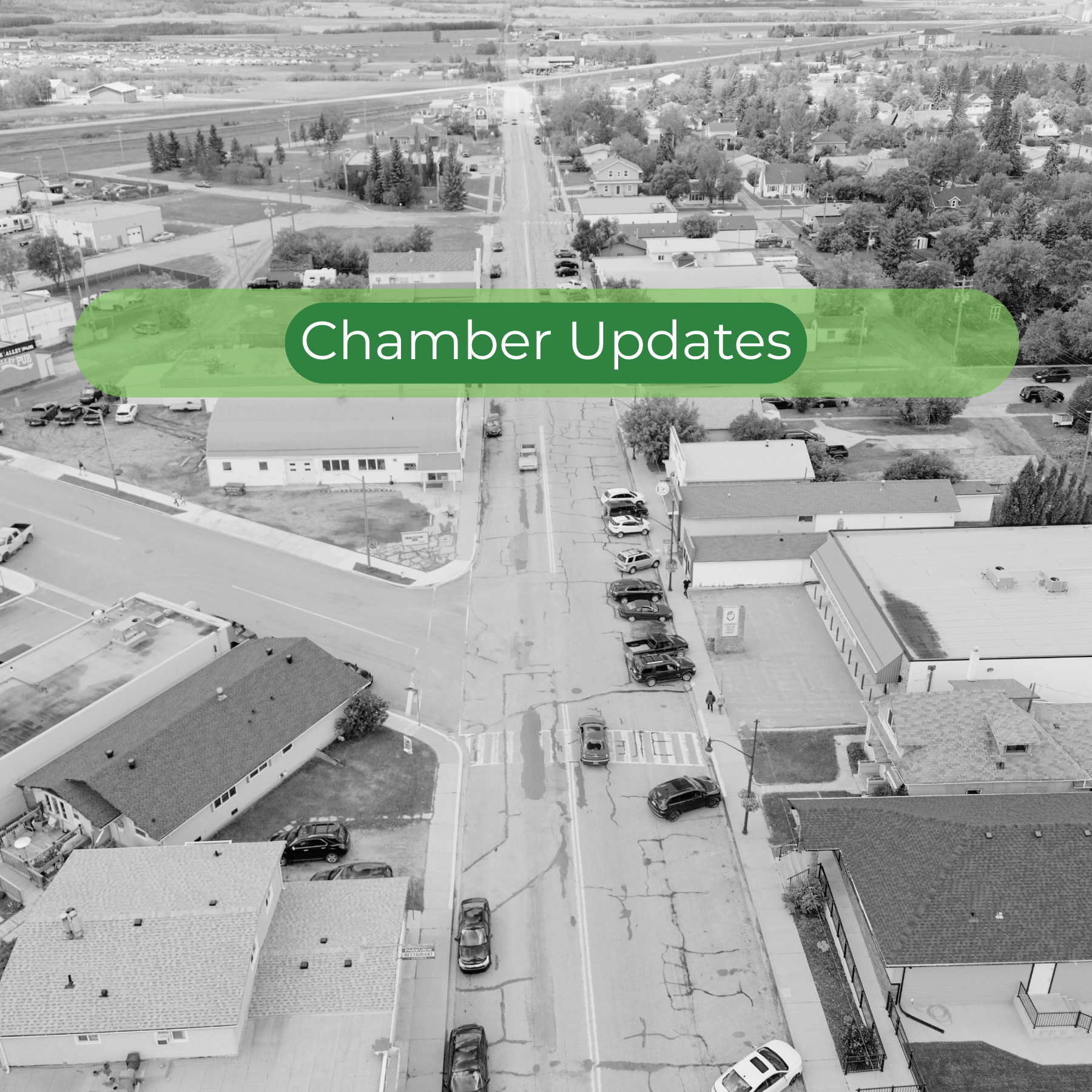 Image for Chamber Board Meets with MLA Jackie Armstrong-Homeniuk to Discuss Regional Priorities