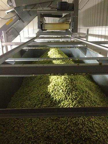 the hop silo chock full of aromatic goodness
