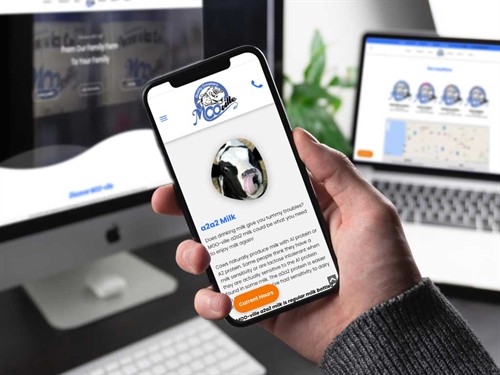 MOO-ville Website