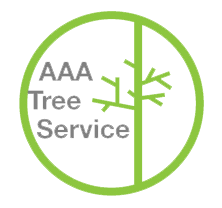 Tree Aaa AAA Tree Service | Tree Services