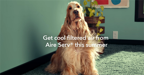 Gallery Image Cool_Air_dog.png