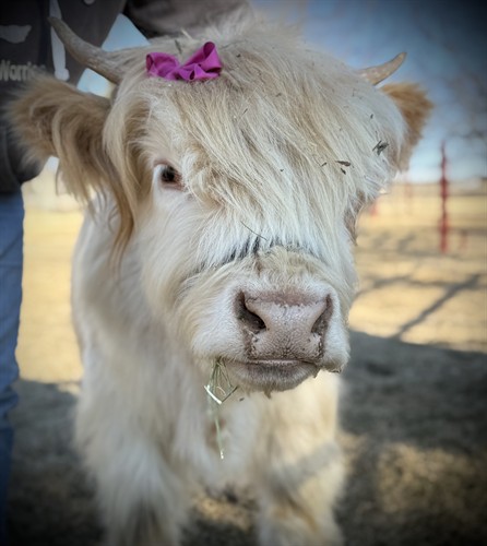 Gallery Image IMG_0372.jpeg