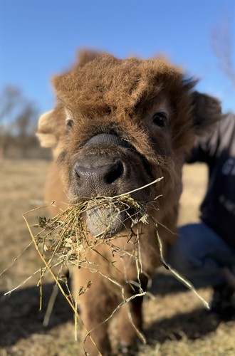 Gallery Image IMG_0384.jpeg