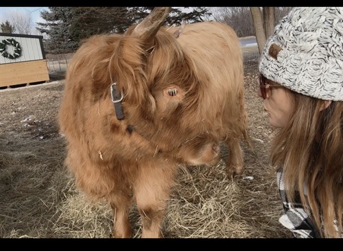 Gallery Image IMG_4147.jpeg