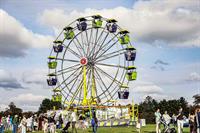 Greenwich Land Trust’s 26th Annual Go Wild! Draws Over 1,500 Attendees for a Day of Family Fun and Conservation Support