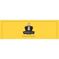 The Pinnacle Shopping Center Update